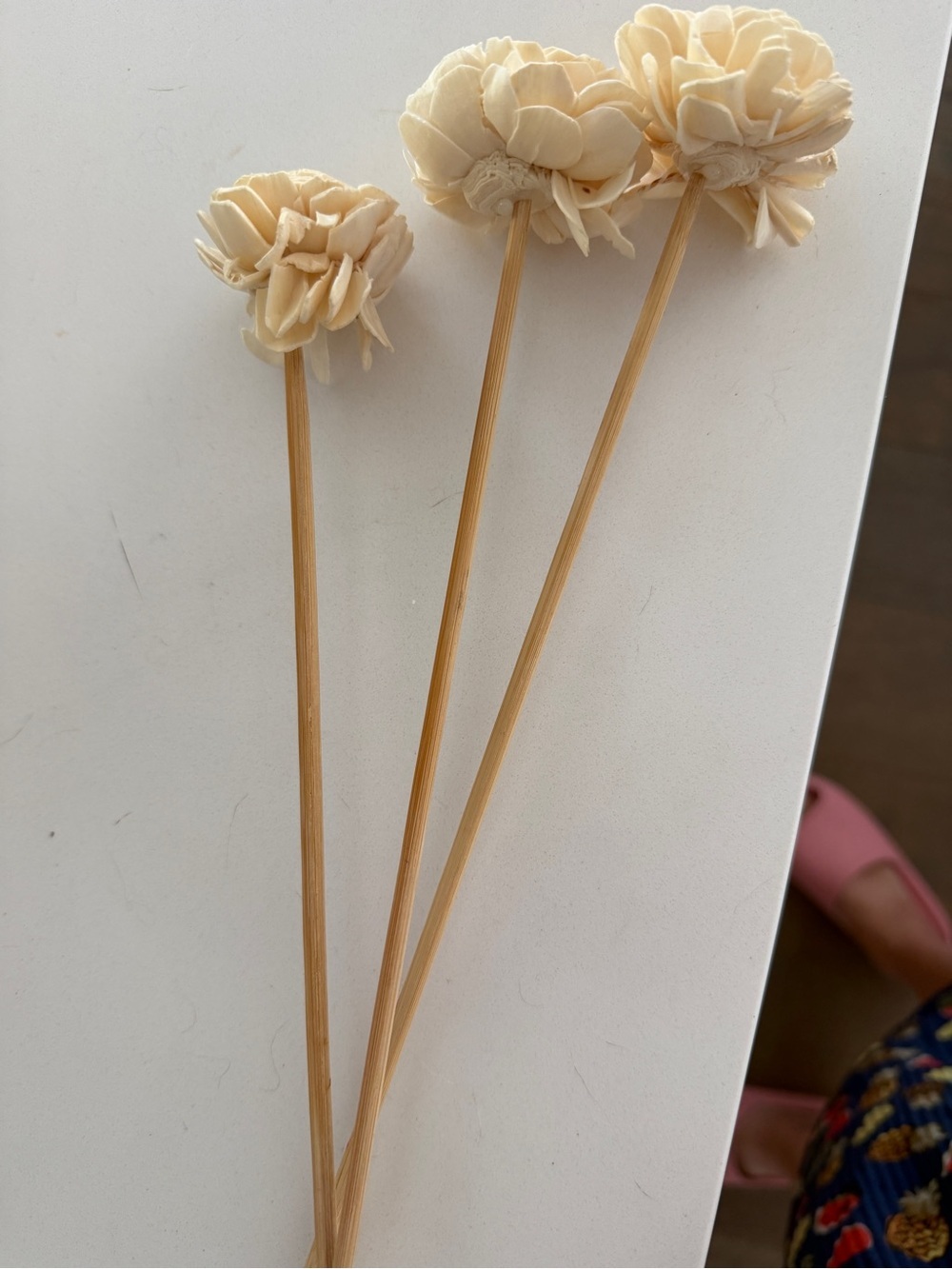 Cream Sola Wood Flower Stems - Decorative Faux Floral Accent